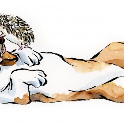 dog and hedgehog basset hound